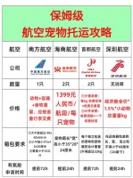 宠物猫托运安全吗？血泪教训刚航空宠物托运完
