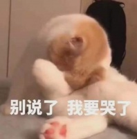 2400亿市场规模下宠物医疗爆发，吸猫遛狗花费可观