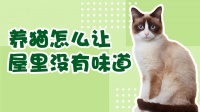 宠物耳朵红、痒什么原因