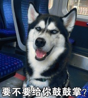 给狗狗刮牙结石超有成就感？多亏你不知道它越刮长越快……