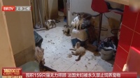 夫妇因“囤养159只猫”被罚15万欧，出于善意为何还要被重罚？