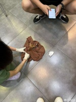 小奶猫的生命力让人惊叹