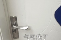 北京一宠物医院救助流浪猫, 它整天骂骂咧咧护士气疯, 怎么骂人啊