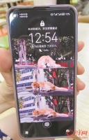 城市里的流浪猫救助者：救助并没有想的那么容易