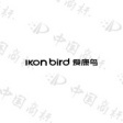 IKON BIRD 爱康鸟