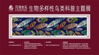 「聚焦COP15」预告丨“凤翎南现”生物多样性鸟类科普主题展即将开展
