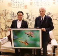 穿越几十个国家拍下3000种鸟类，他镜头下的鸟儿，太美了！