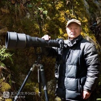 [人物风采]追逐金丝猴17年，斩获国际摄影大奖，他的镜头里有最温暖的“金色猴世界”