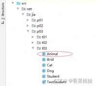 学生喂养三种宠物：猫、狗和鸟