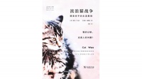 我们应该如何对待户外猫？一个猫、鸟、人都受益的建议 — 新京报