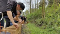 直播吸引买家，通过快递卖到多个省份……这个国家二级保护动物画亟待保护
