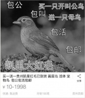 女生发现有人网上兜售野鸟 连续写信给淘宝望叫停