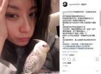 贾静雯的宠物鸟离世 孙俪的爱犬也去世了 明星养宠物有空照顾吗