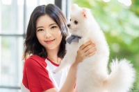 想做一名宠物美容师，什么是宠物美容师资格证？应该怎么考取呢？