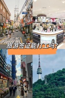 去旅行，宠物怎么办？8种宠物，不建议＆放心做