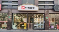 开宠物鸟店需要办什么手续？一步步指南，助你抓住创业新机遇！