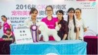 广州茉莉园宠物美容培训中心参加“2016年CKU华南区宠物美容师资格认证考试”