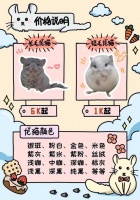 龙猫价格为什么那么贵，龙猫价格图片