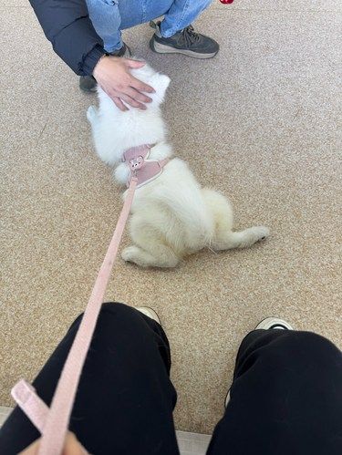 宝宝疫苗