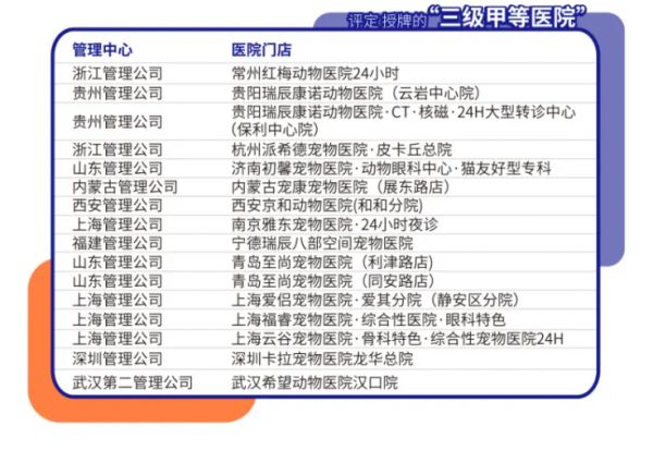 图片7