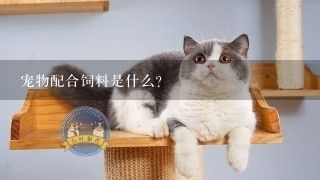 宠物配合饲料是什么?