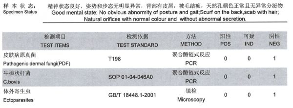 鼠皮肤状态异常怎么办