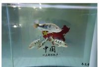 养鱼人或者鱼友交流群，最讨厌的三种人，别把自己当盘菜
