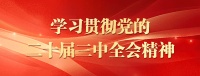 爱好成事业，“每天的快乐就是和话痨斗嘴”