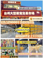 台州哪有卖金渐层猫的宠物基地?台州宠物基地选购金渐层猫更放心