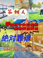 苏州哪有卖金渐层猫的宠物基地？苏州宠物基地选购金渐层猫更放心