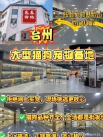 台州金渐层猫什么?台州这里买金渐层猫价格优惠,品质更佳!