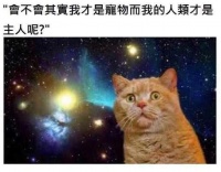 狗狗是否知道自己是狗? 它们知不知道自己与其他种类的的区别?
