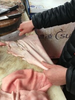 小猪皮，大用处，猪皮咬胶的制作方法