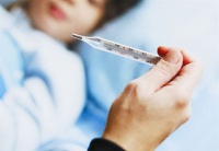 鹦鹉热不只是种鸟病，人若感染可致命：带你了解这种动物源性疾病