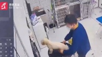 江苏一宠物医院被曝粗暴摔打宠物狗 医院：当事员工年轻气盛