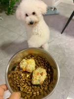 狗狗辅食（狗狗好胃口小妙招）