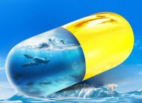 宠物鱼油哪个牌子好？10大品牌真实测评，便宜又好用！