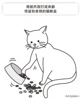 从行为了解猫咪心理，做一个行走的猫咪百科全书