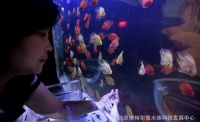 鱼缸，神奇负压鱼缸，太空缸，真空缸，能够和鱼儿互动的水族箱