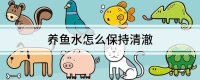 养鱼水怎么保持清澈