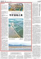 人民日报｜保护水环境维护生物多样性 三地合力守护湿地之美
