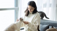 硬控中国千万铲屎官的“猫猫”主题游乐园，日均游客突破100万！
