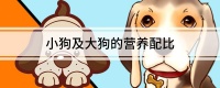 小狗及大狗的营养配比