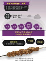 布氏柳莺的饲养全指南（从选购到饲养，带你打造一个幸福的鸟宝宝生活）