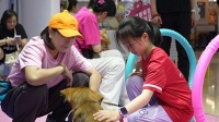 以爱之名,共赴萌宠之约 —— 佳兆业商业深圳片区打造宠物友好生态圈