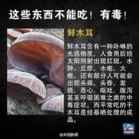 小狗酸中毒？防酸毒，早发现，早处理！