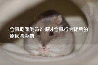 仓鼠吃同类吗？探讨仓鼠行为背后的原因与影响