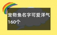 宠物鱼名字可爱洋气160个