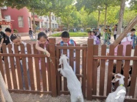 五莲县育才小学 “萌宠乐园”  打造沉浸式教育新场景