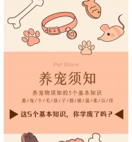 新手养狗基础知识——打造健康快乐的狗狗生活(如何成为负责任的狗主人,呵护宠物健康成长)